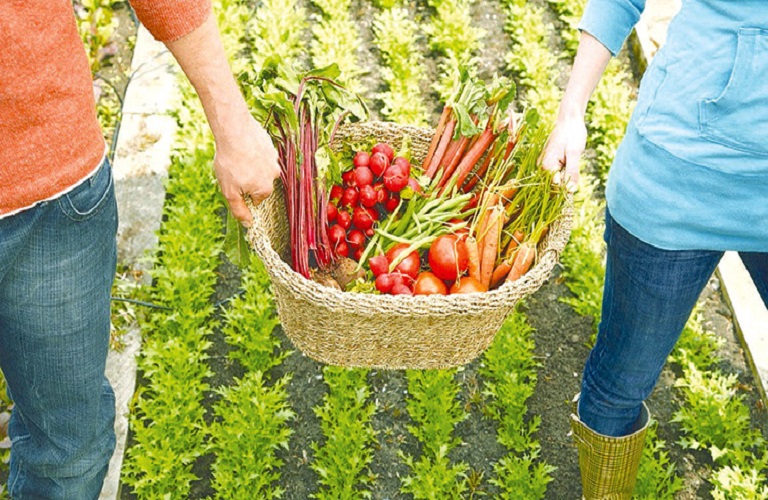 Όταν η τροφή από δικαίωμα έχει μετατραπεί σε εμπόρευμα (!)