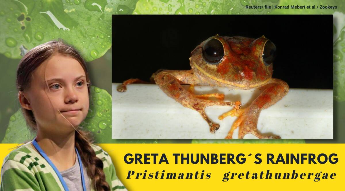 Γκρέτα Τούνμπεργκ – Έδωσαν το όνομά της σε νέο είδος βατράχου