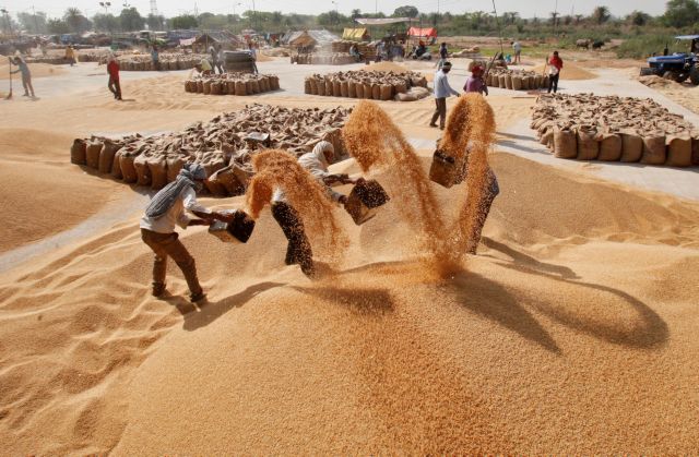 Πόλεμος στην Ουκρανία: Η Ινδία απαγόρευσε τις εξαγωγές σιτηρών – Εντείνεται η ανησυχία για επισιτιστική κρίση