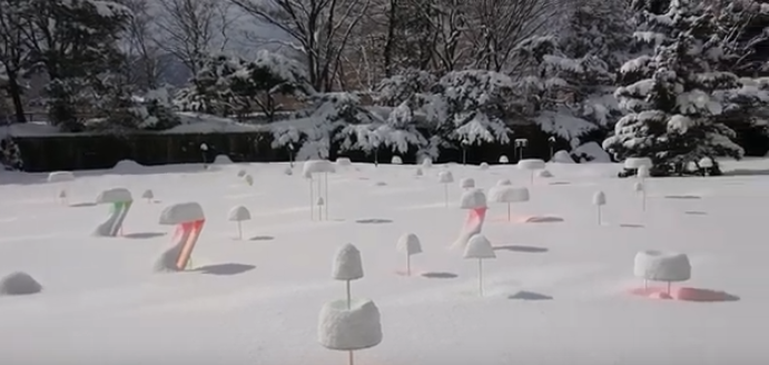 Toshihiko Shibuya: Χρώμα στο χιόνι