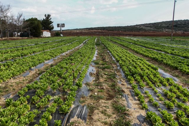 Ρήτρα αναπροσαρμογής – Τι προβλέπει τροπολογία για το αγροτικό τιμολόγιο