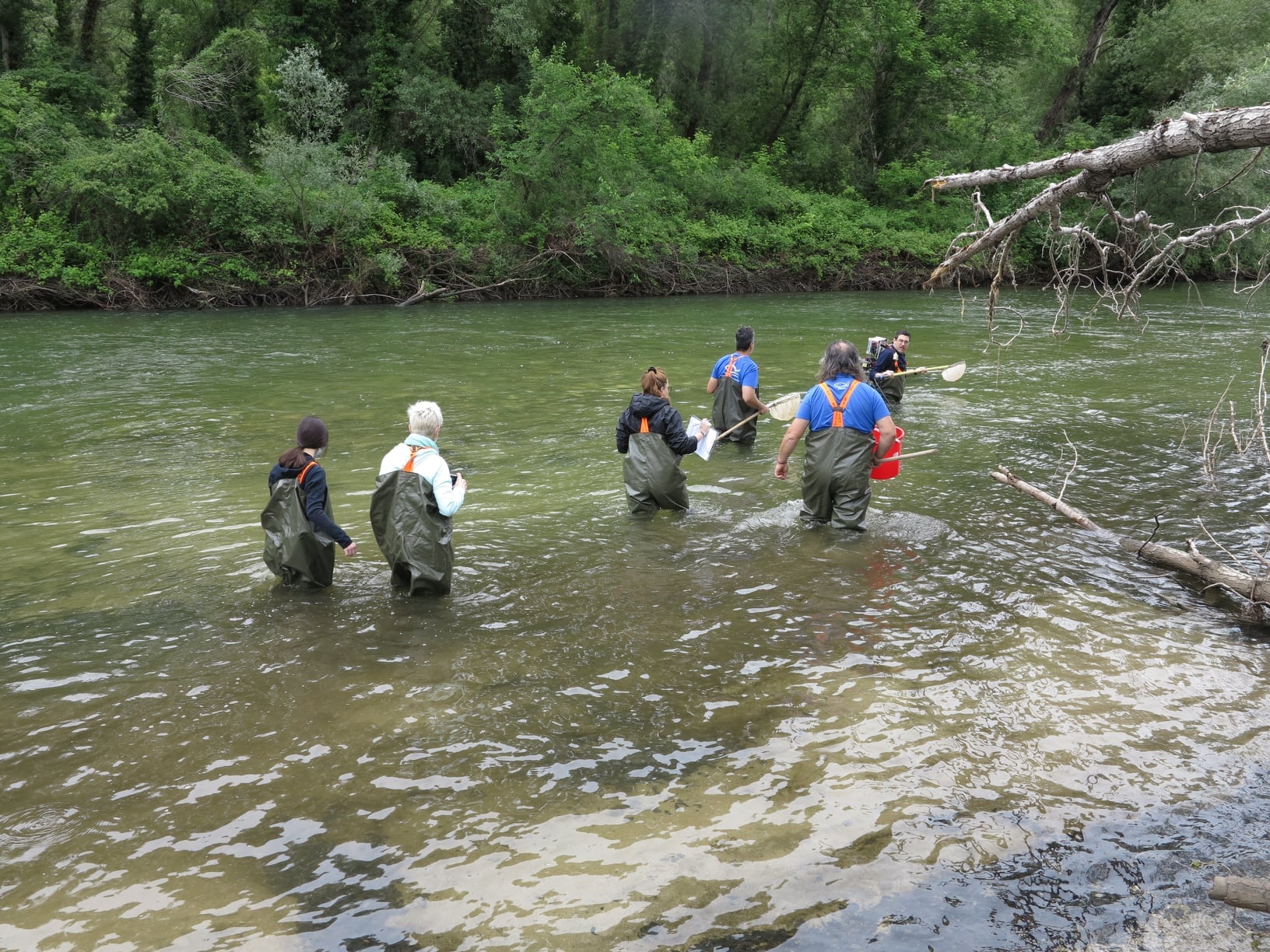 Energean: The Nestos wetland is free of hydrocarbons