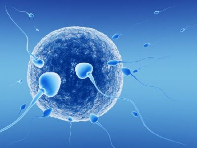 Εμβόλια mRNA και εξωσωματική γονιμοποίηση – Τι έδειξε νέα μελέτη