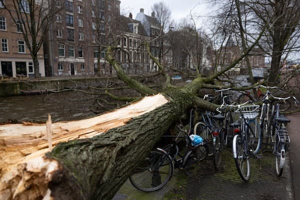 Ολλανδία: Δύο νεκροί από πτώσεις δένδρων
