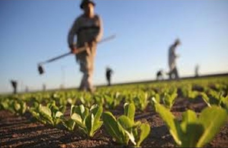 EU Agriculture Ministers: Three proposals to support Greek producers