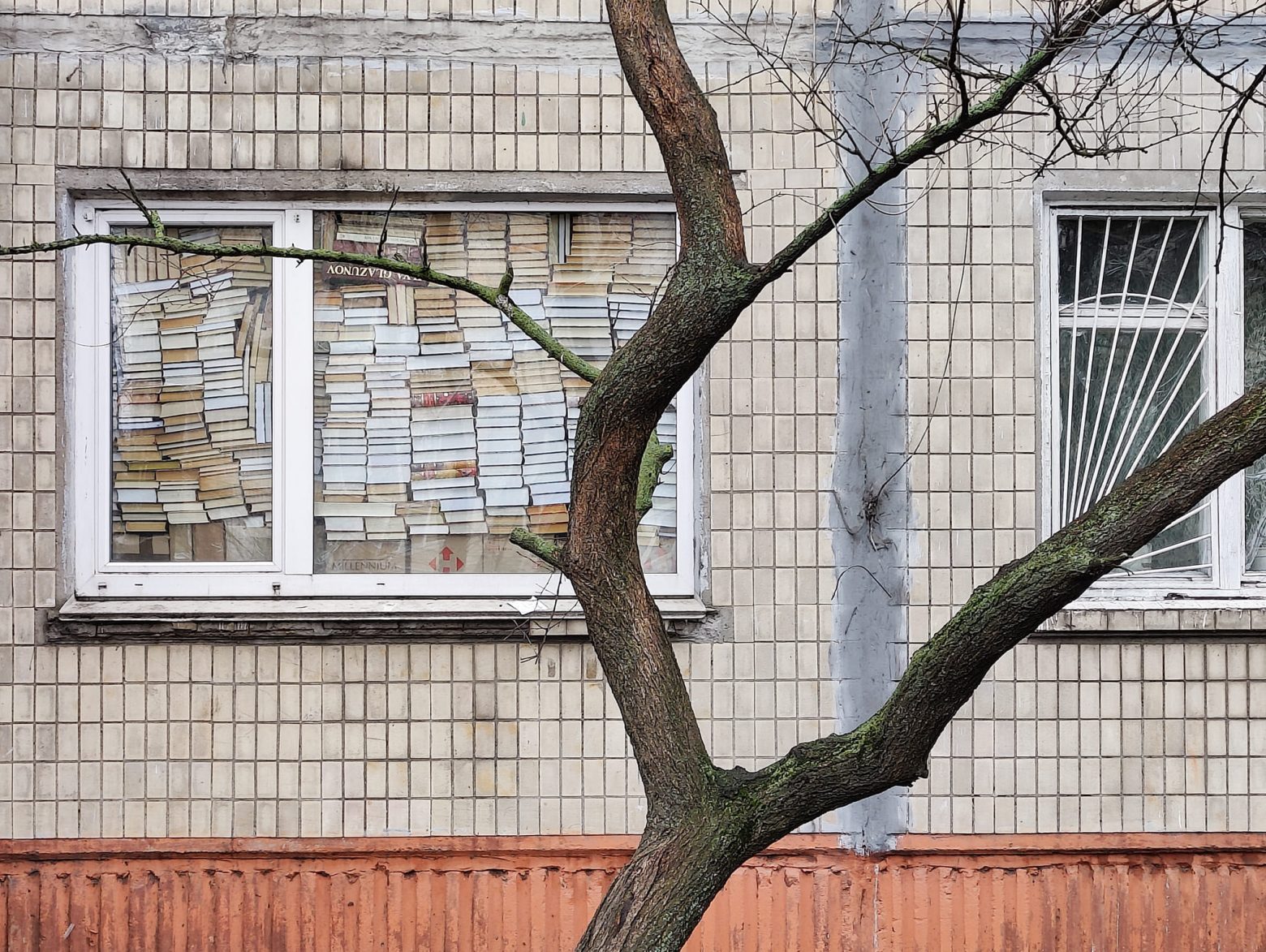 Πόλεμος στην Ουκρανία: Όταν τα βιβλία σε προστατεύουν… σώματι και πνεύματι  - Οικονομικός Ταχυδρόμος - ot.gr