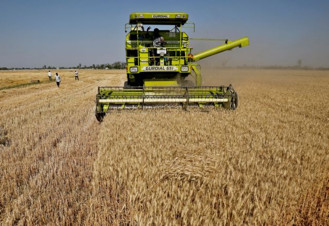 Ουκρανία: Έως και 6 δισ. οι απώλειες από το ρωσικό «μπλόκο» στις εξαγωγές σιτηρών