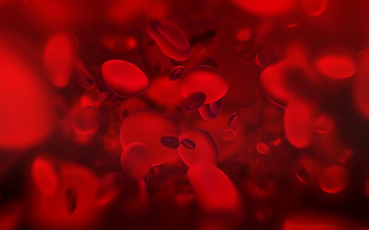 Ανίχνευση ολιγομερών από πολυεστερικά πλαστικά στο ανθρώπινο αίμα – Πρωτοποριακή έρευνα στο ΑΠΘ