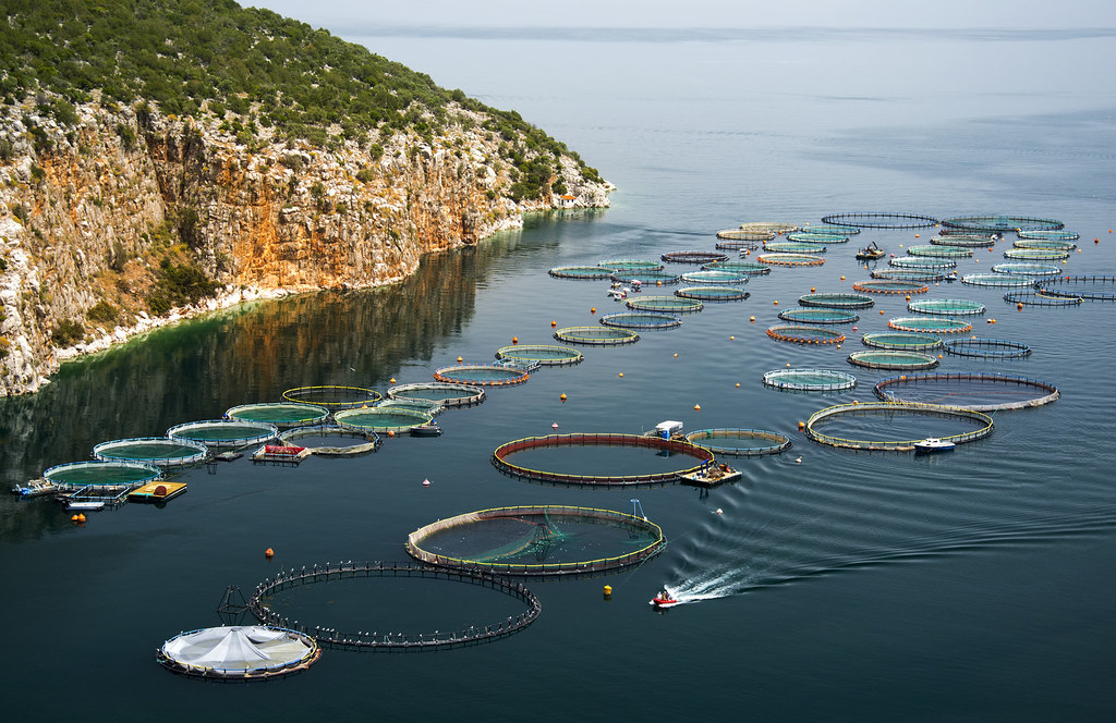 The 3 pillars for the growth of Aquaculture