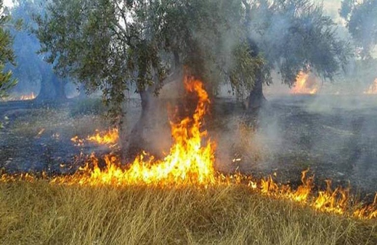 Πυρκαγιές: Υψηλός κίνδυνος και τη Δευτέρα 25 Ιουλίου – Ο Χάρτης Πρόβλεψης