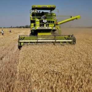 FAO: Για δεύτερο συνεχόμενο μήνα ανοδικά οι τιμές των τροφίμων