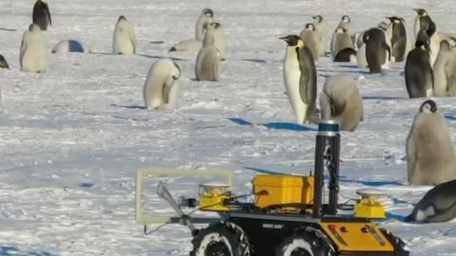 Ανταρκτική: Τι δουλειά έχει ένα ρομπότ σε μία αποικία πιγκουίνων;