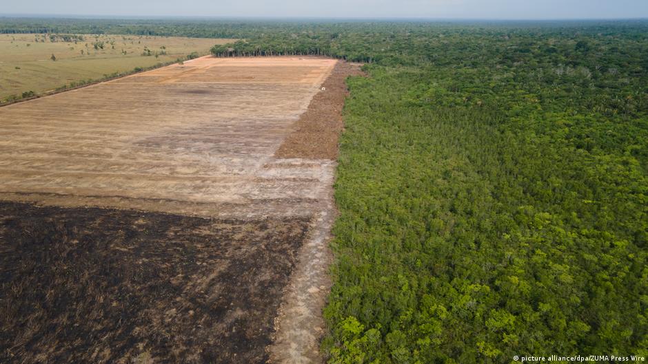 Αμαζόνιος: Σπάει το ένα ρεκόρ μετά το άλλο ο ρυθμός αποψίλωσης των τροπικών δασών – Ο ρόλος του Μπολσονάρου