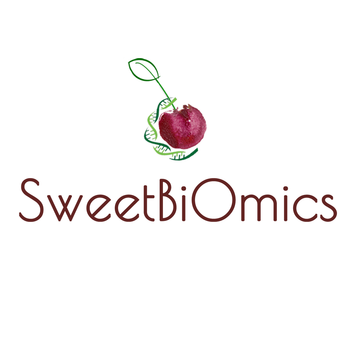 SweetBiOmics: Εκχυλίσματα κερασιού για πολλαπλασιασμό κυττάρων εντόπισαν ερευνητές του ΑΠΘ