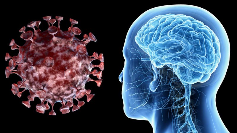 Κορωνοϊός: Μπορεί να προκαλέσει πρόωρη γήρανση του εγκεφάλου κατά δύο δεκαετίες – Τι δείχνει έρευνα