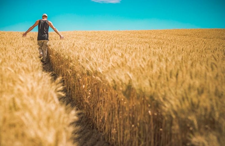 Βασική ενίσχυση: Γραμμική μείωση έως 2,5% για το 2022