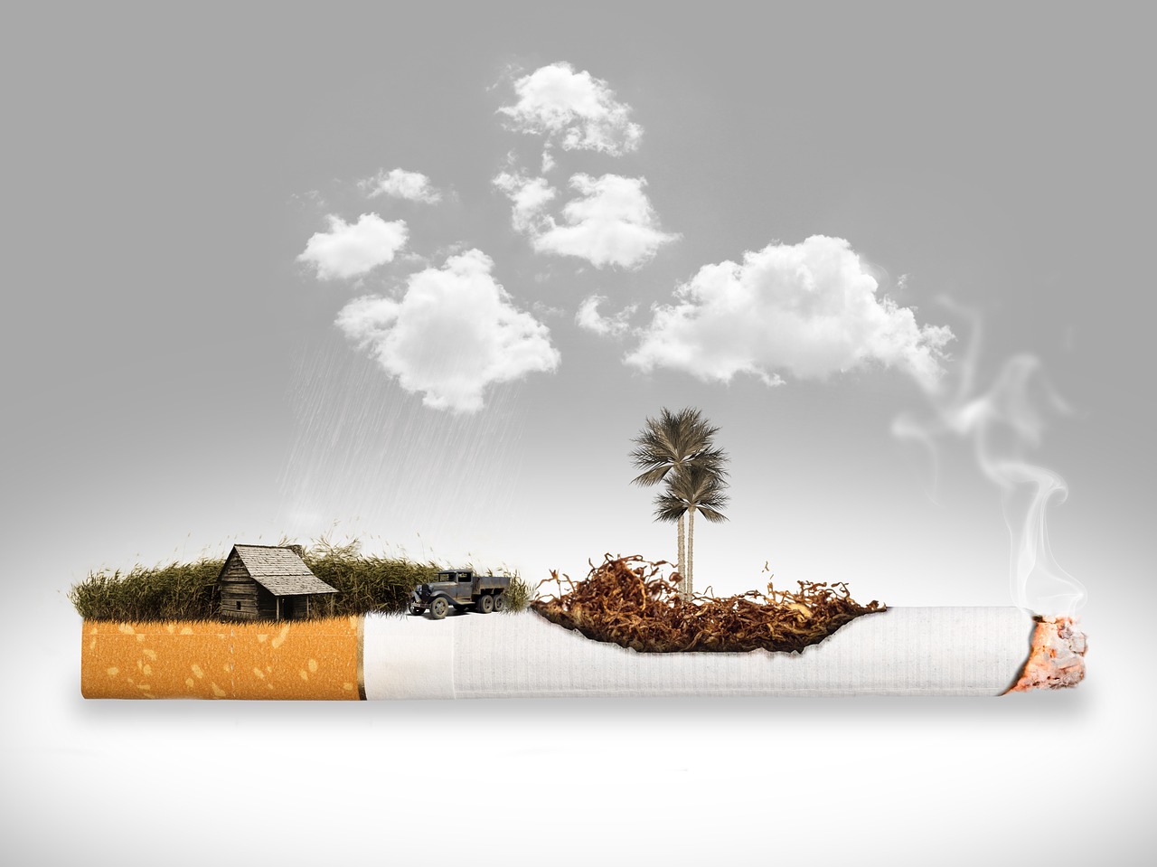Κλιματική αλλαγή: Σοβαρές επιπτώσεις από την παραγωγή τσιγάρων