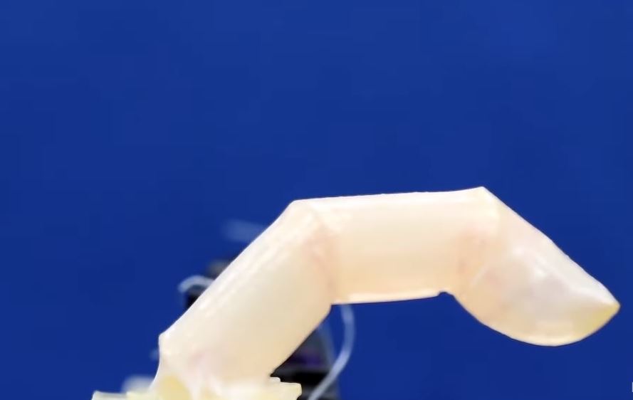 Τεχνολογία: Ανθρώπινο δέρμα για ρομπότ δημιούργησαν επιστήμονες