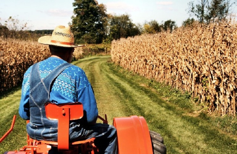 ΟΟΣΑ: Σε επίπεδα – ρεκόρ η στήριξη στην γεωργία
