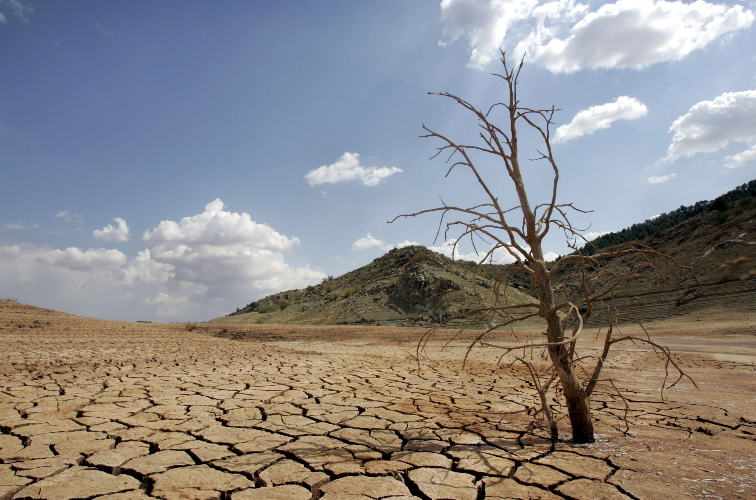 Ιταλία: «Καίγεται» από την ξηρασία