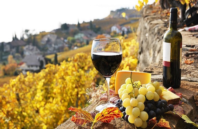 Greek wine tourism offers truly unique experiences