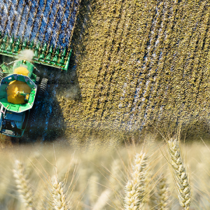 Μέση Ανατολή: Πώς ο πόλεμος μπορεί να πυροδοτήσει παγκόσμια επισιτιστική κρίση [γραφήματα]