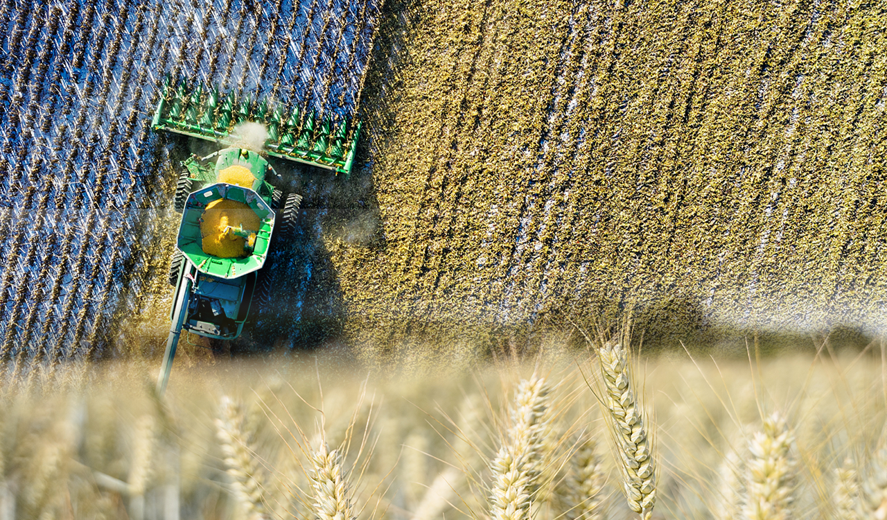 Μέση Ανατολή: Πώς ο πόλεμος μπορεί να πυροδοτήσει παγκόσμια επισιτιστική κρίση [γραφήματα]