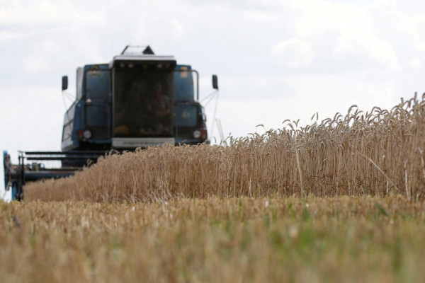 Ουκρανία: Σε 2 εκατ. τόνους θα φτάσουν οι εξαγωγές σιτηρών τον Ιούνιο