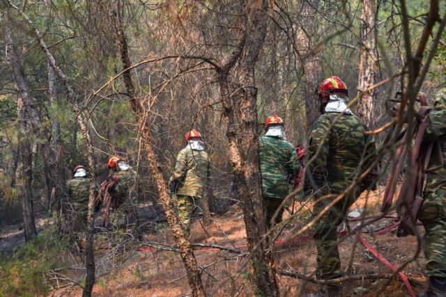 Φωτιές: Κάηκε το 58% του δάσους της Δαδιάς