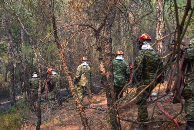 Φωτιά στον Έβρο: Δραματική η κατάσταση στη Δαδιά