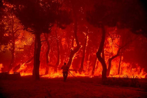 Πυρκαγιές: Στο έλεος της φωτιάς τα Βατερά στη Λέσβο και η Δαδιά στον Έβρο