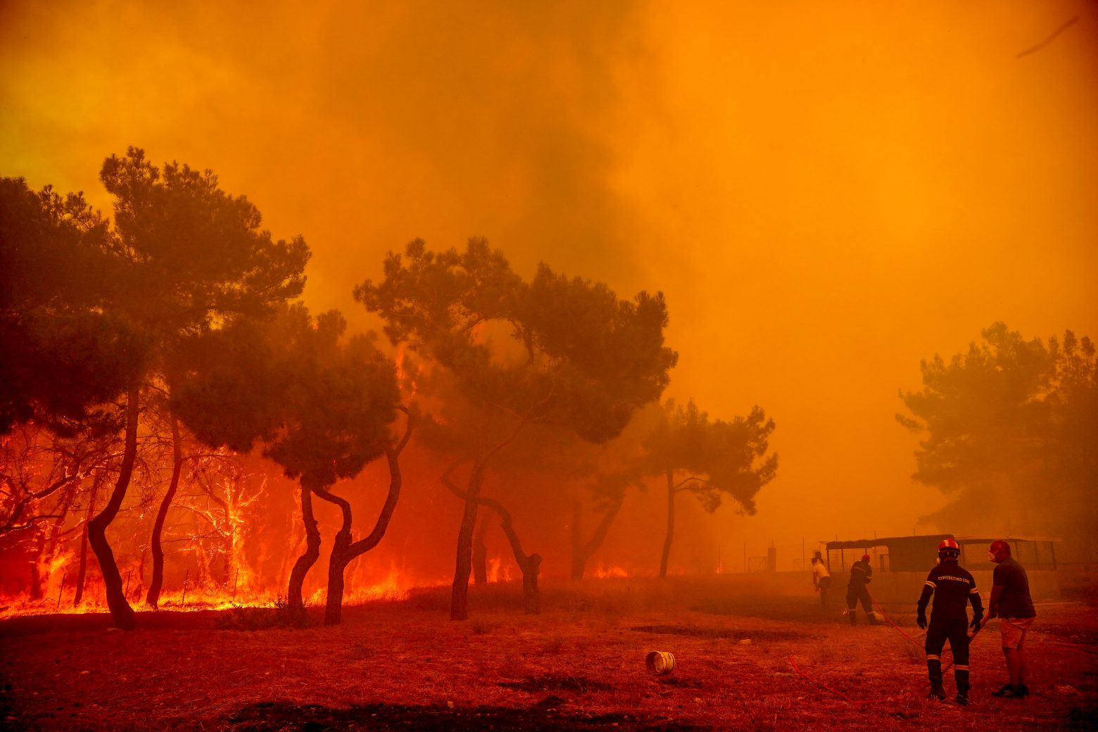 Λέσβος: Εικόνες Αποκάλυψης από τη μεγάλη φωτιά στα Βατερά