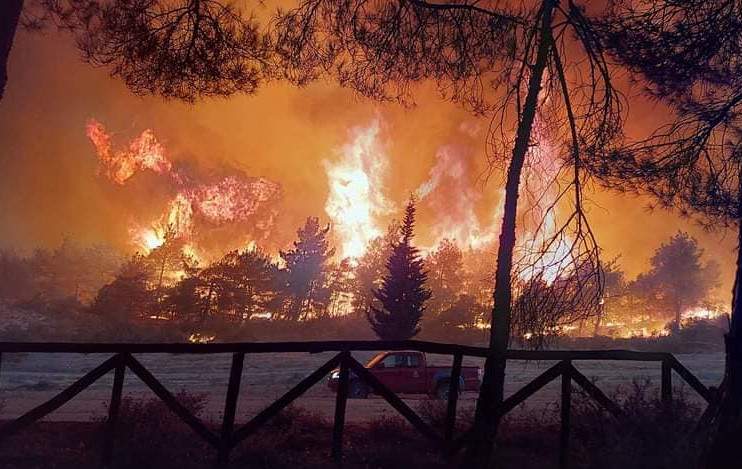 Φωτιές σε Έβρο και Ηλεία: Ακόμη μια «πύρινη» νύχτα στη χώρα – Σπίτια στις φλόγες, εκκενώσεις οικισμών
