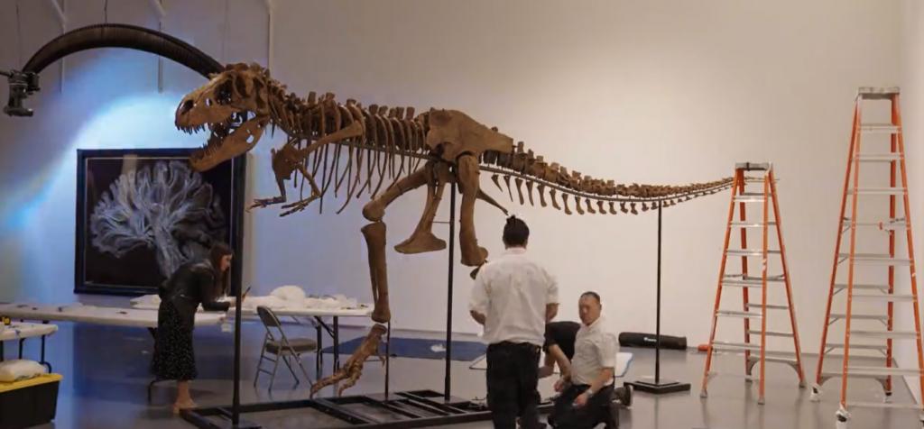 ΗΠΑ: Σκελετός δεινοσαύρου πωλήθηκε έναντι 6,1 εκατ. δολ. σε δημοπρασία [Photos]