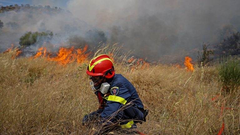 Πυρκαγιές: Δύσκολη η κατάσταση σε Άγιο Όρος, Χαλκίδα και Κόνιτσα – 16 μέτωπα σε όλη τη χώρα