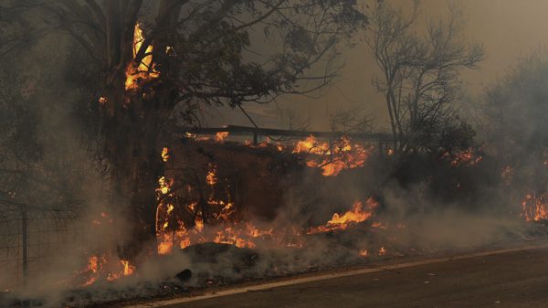 Φωτιά στη Φωκίδα: «Μάχη» για να μην κατευθυνθεί στους Δελφούς – Πυρκαγιές σε Σχηματάρι, Ζάκυνθο, Κρανίδι, Άγιο Όρος