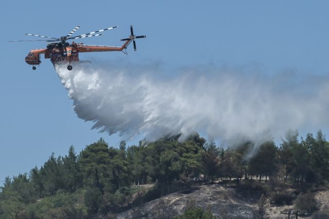 Φωτιά: Σε εξέλιξη σε δασική έκταση στον Πύργο – Στη «μάχη» της κατάσβεσης τα εναέρια μέσα