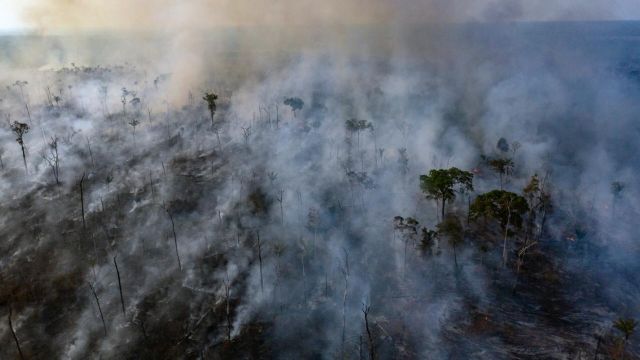Αμαζόνιος: Αποψίλωση – ρεκόρ το 2022 – Καταστράφηκαν 5.474 στρέμματα δάσους σε 7 μήνες