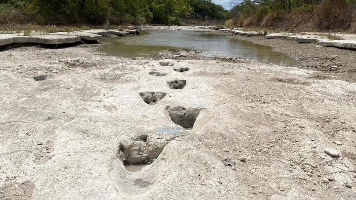 ΗΠΑ: Η ξηρασία αποκάλυψε ίχνη δεινοσαύρων στην κοίτη ποταμού στο Τέξας