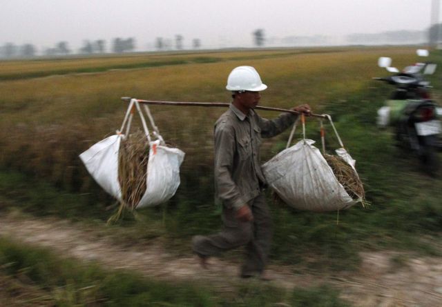 Ινδία: Παραγωγή αιθανόλης από άχυρα ρυζιού – Αναμειγνύεται με βενζίνη