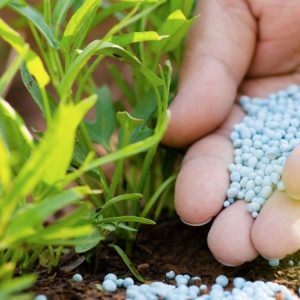 Λιπάσματα: Ακριβότερα κατά 8% το τελευταίο τρίμηνο του 2025