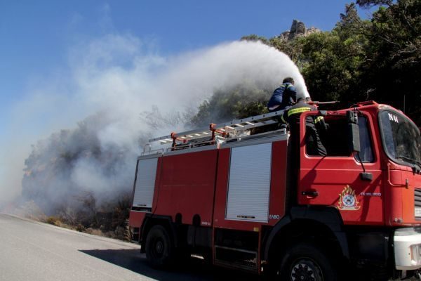 Λακωνία: Πυρκαγιά σε δασική έκταση στην περιοχή Βασιλική