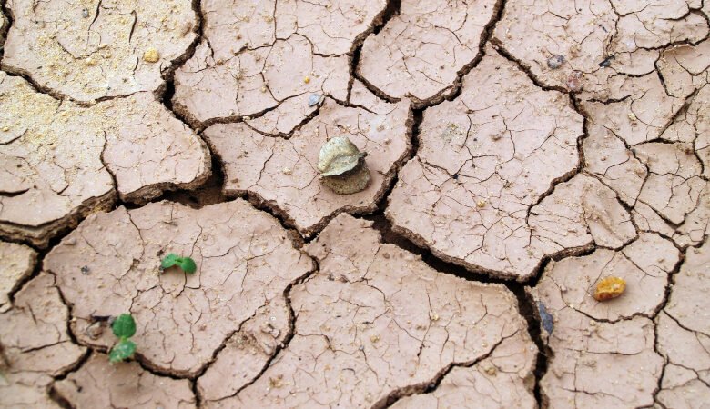 Ολλανδία: Θα σπάσουν τα φράγματα λόγω ξηρασίας;