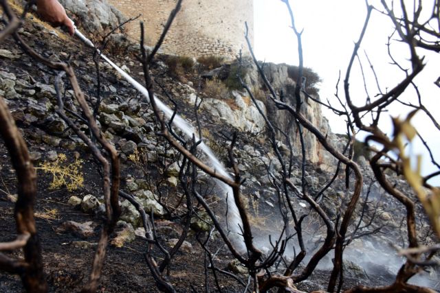 Πυρκαγιές: Στο 1/10 οι φετινές καμένες εκτάσεις σε σχέση με πέρυσι