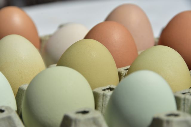 Καλάθι του νοικοκυριού: Τι είναι τα αυγά κλωβοστοιχίας που βρίσκονται στη λίστα