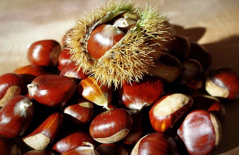 Greek chestnuts: Arcadia prefecture records drastic reduction in production by 80%