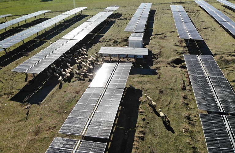 Agrovoltaics are the next big Green energy thing for Greece