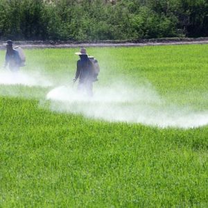 Φυτοφάρμακα: Νέο πλαίσιο για τα πρόστιμα – Τι αλλάζει