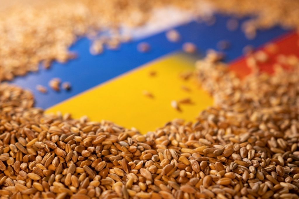 Ουκρανία: Η υπερπληθώρα σιτηρών πλήττει τις αγροτικές επιχειρήσεις στις γειτονικές χώρες