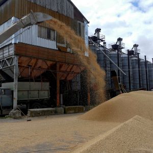 Ρωσία: Πλημμυρίζουν με σιτηρά τα λιμάνια